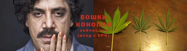 меф Дмитриев