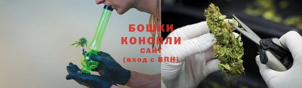 ешки Гусев