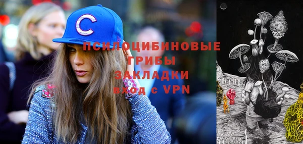 PSILOCYBIN Дмитров