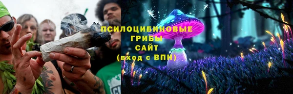 меф Дмитриев