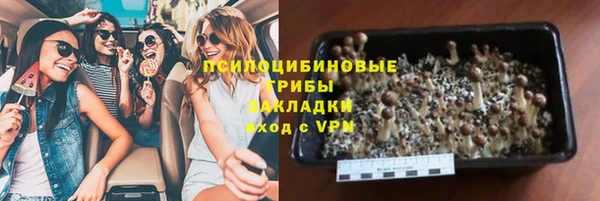 PSILOCYBIN Дмитров