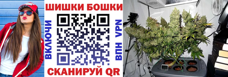 как найти наркотики  Питкяранта  Марихуана конопля 